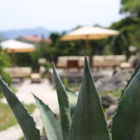 Hotel Lavanda Donja Kostanjica Exterior foto