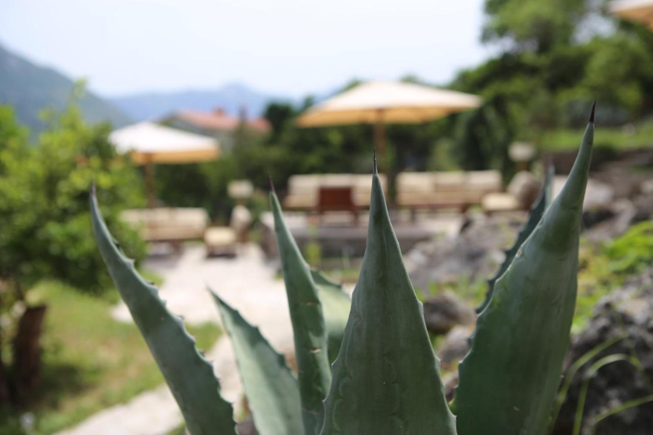 Hotel Lavanda Donja Kostanjica Exterior foto